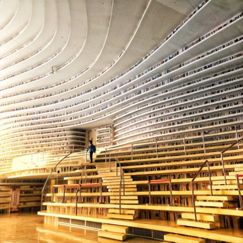 天津是个什么样的城市,天津与南京哪个城市好