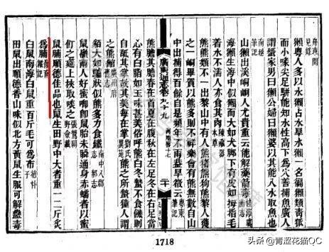 广东老鼠的习惯,吃老鼠哪里的习俗