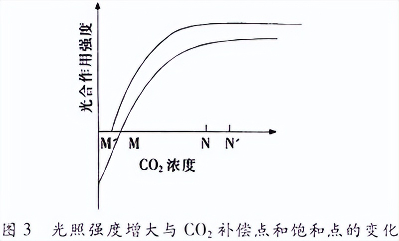 高中生物细胞代谢产生什么物质,高中生物细胞代谢视频