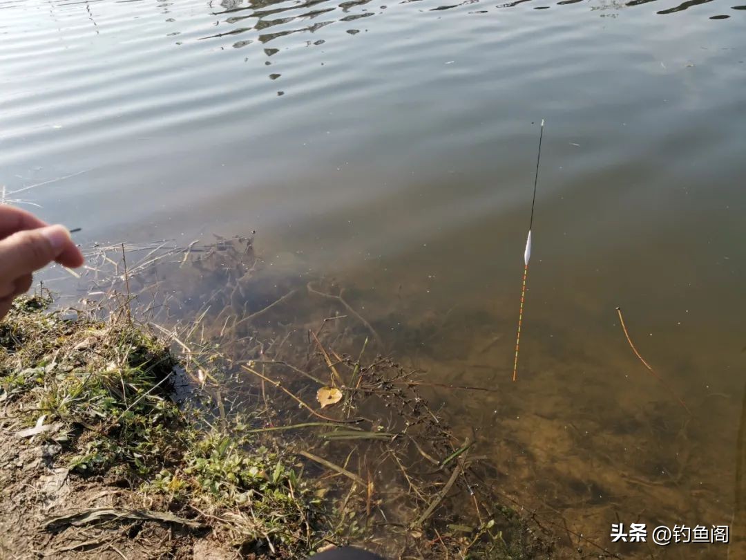 钓鱼时怎样调漂才是正确的,钓鱼怎样调漂才是正确的