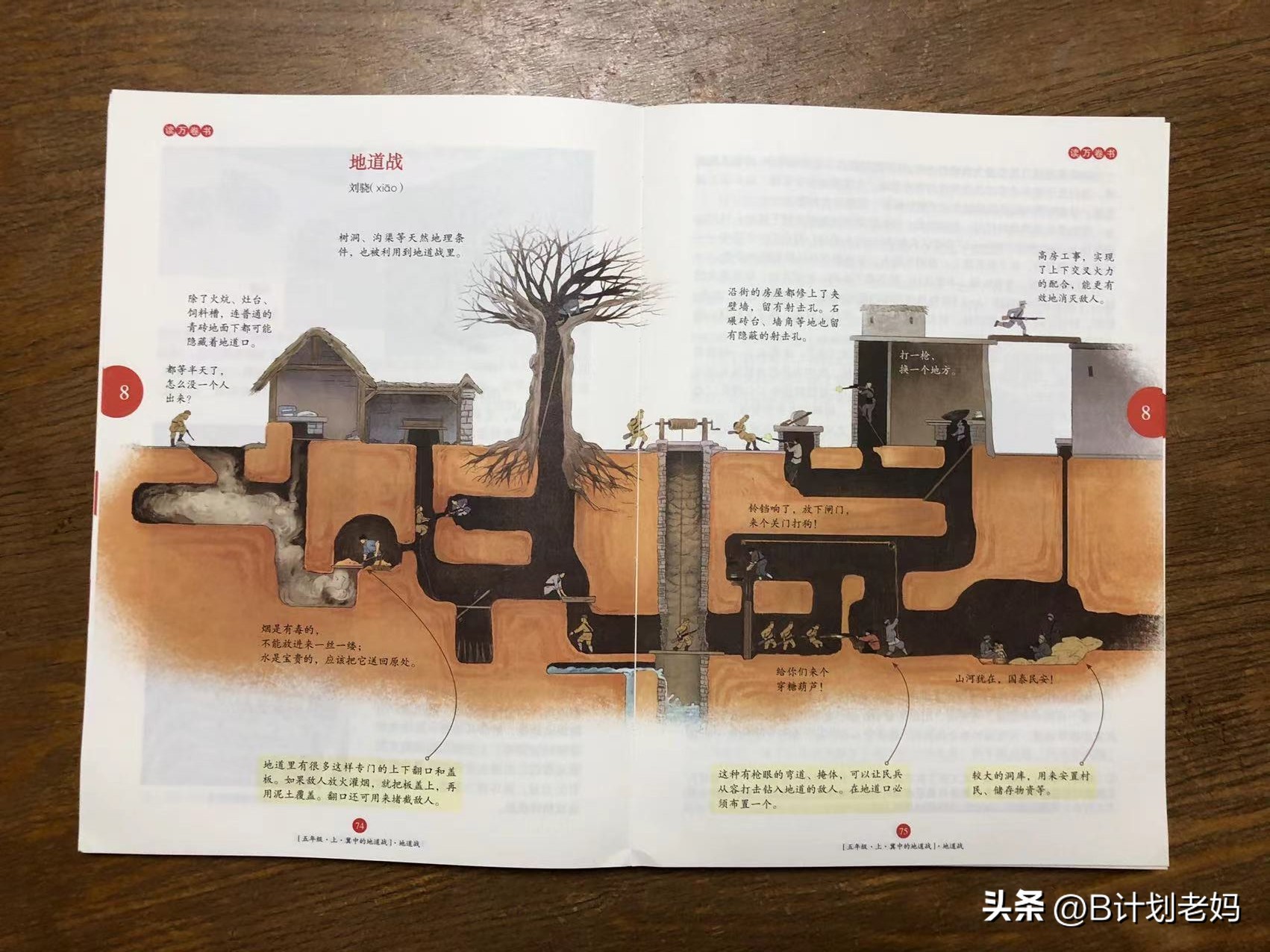 网红教辅《年级阅读》，语文课外一本就能省心了？不，我不这么看