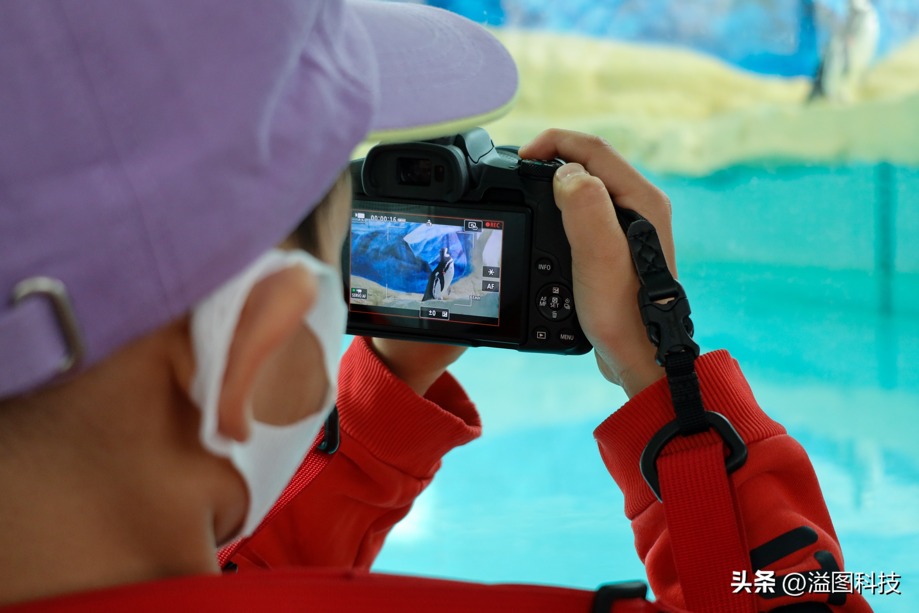 佳能rf-s55-210mm,和儿子感受大自然的气息和美景