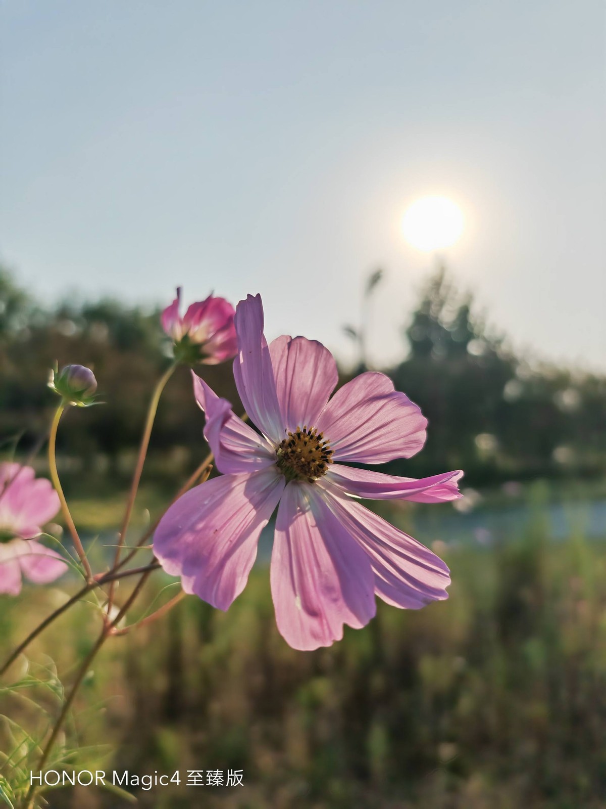 荣耀magic4至臻版体验一个月后,荣耀magic4至臻版全套实拍图