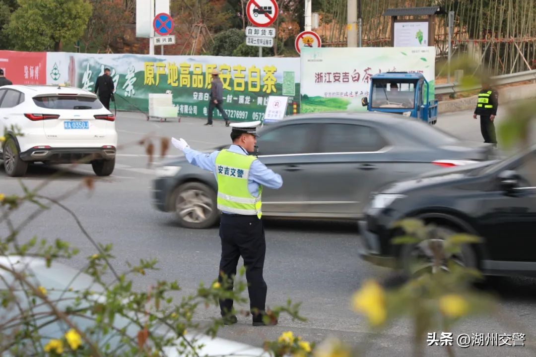 加工茶叶太累,搞茶叶技巧