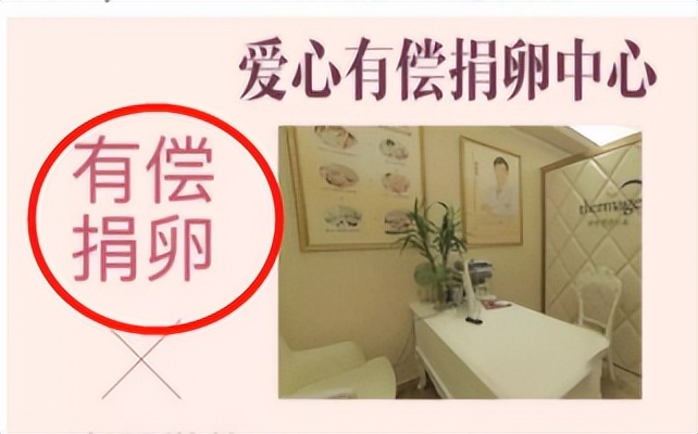 买卵*市黑**紧盯女大学生，“无色情”实现财富自由，越好看越值钱