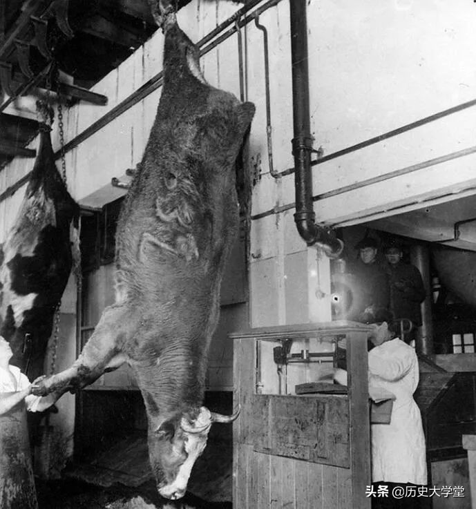 苏联罐头的发展历史,苏联生产的罐头