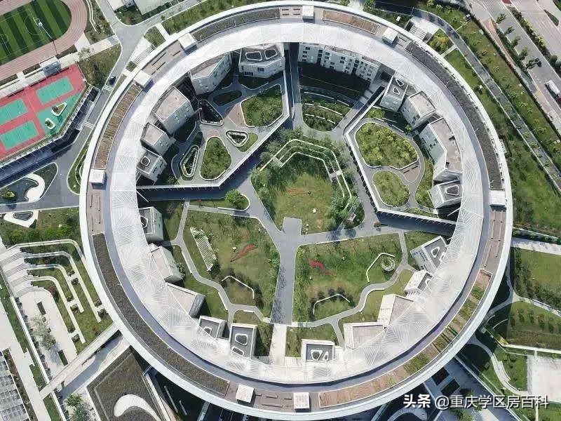 天津高考被屏蔽成绩是咋回事,高考成绩被屏蔽学校