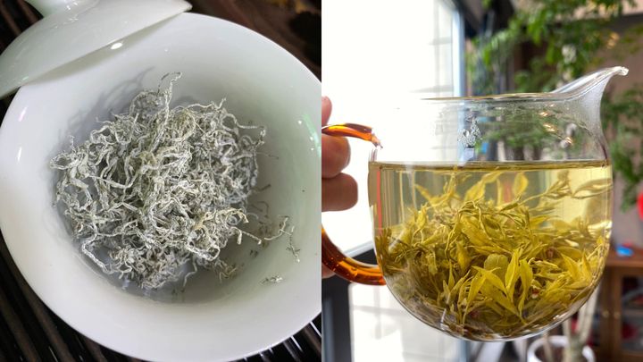 正宗恩施来凤藤茶与张家界藤茶,藤茶大揭秘喝藤茶有什么好处