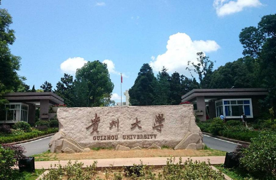 贵州大学学科数学,贵州大学数学系