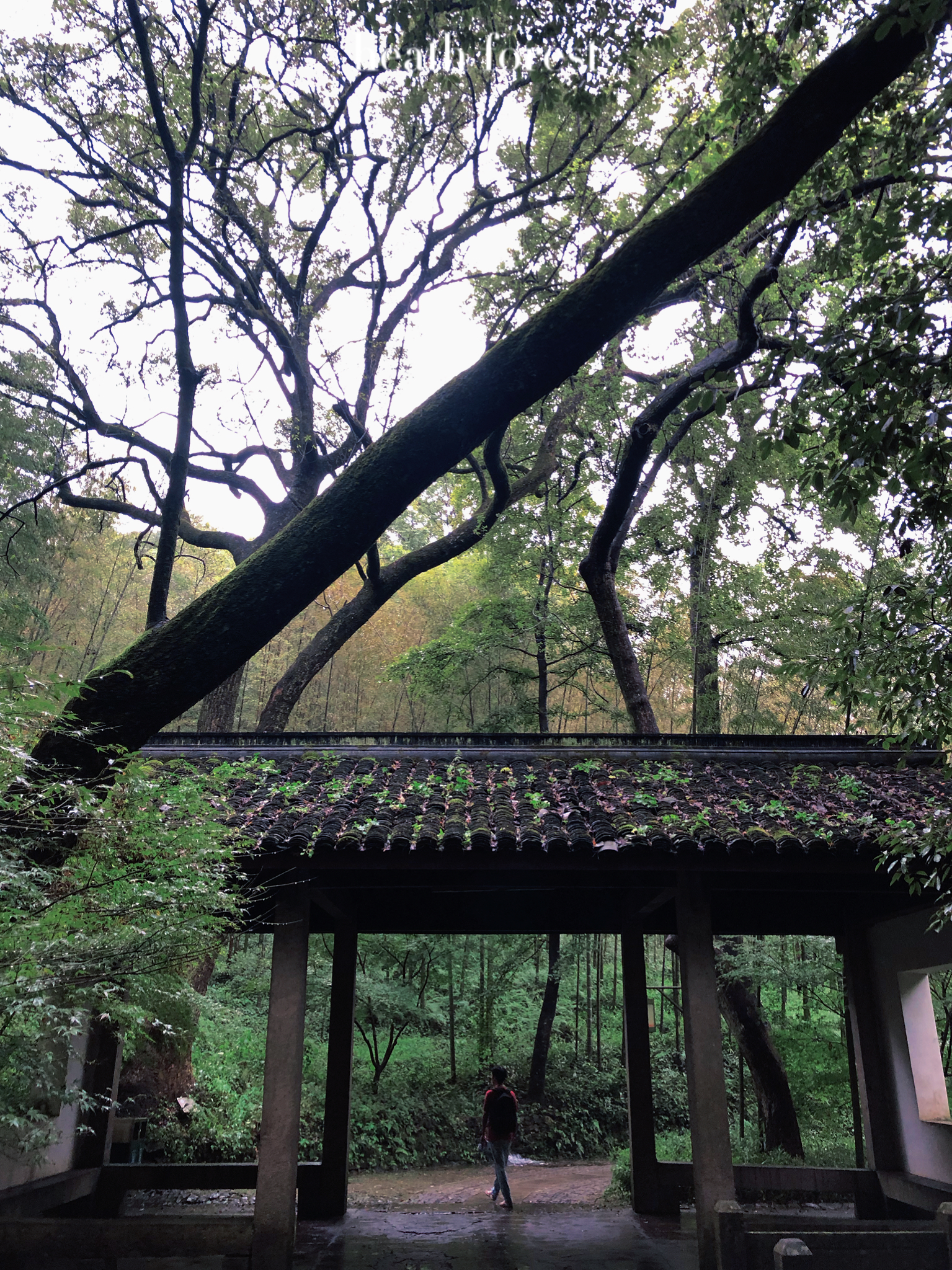 杭州钱塘江观潮最佳景点,杭州有哪些旅游景点好玩