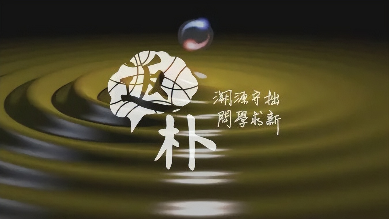 麦克斯韦方程组的扩展理论解释,麦克斯韦方程是历史上最伟大公式