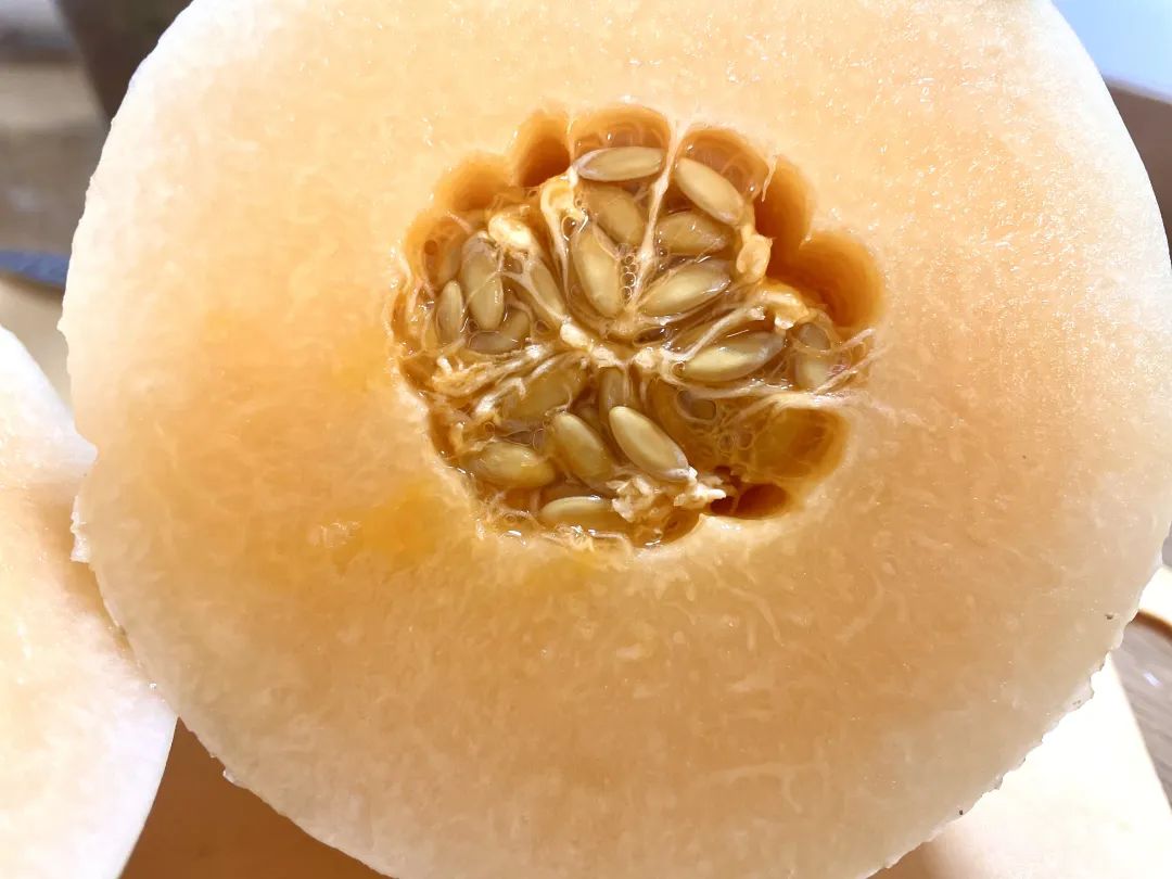 武汉美女：夏天要吃这些好瓜，藤蔓上的水果冰淇淋