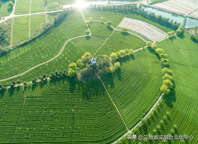 拥抱新的时代把握新的机遇,拥抱新消费新生活