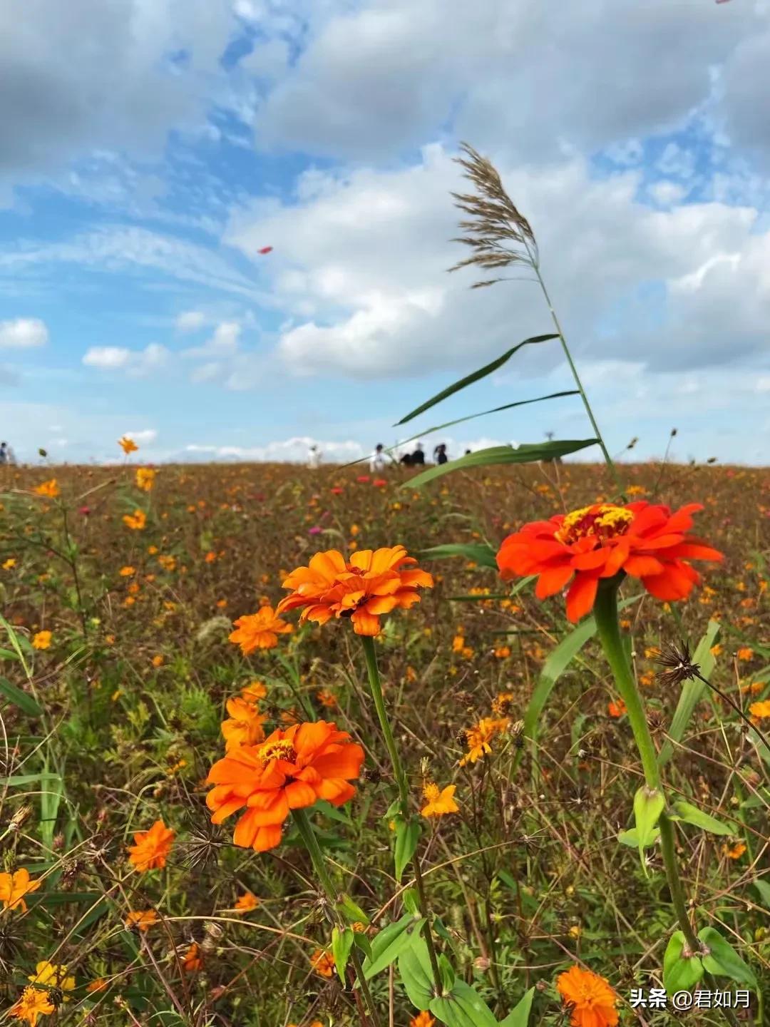 上海旅游遇梅雨,上海夏季雨夜美景