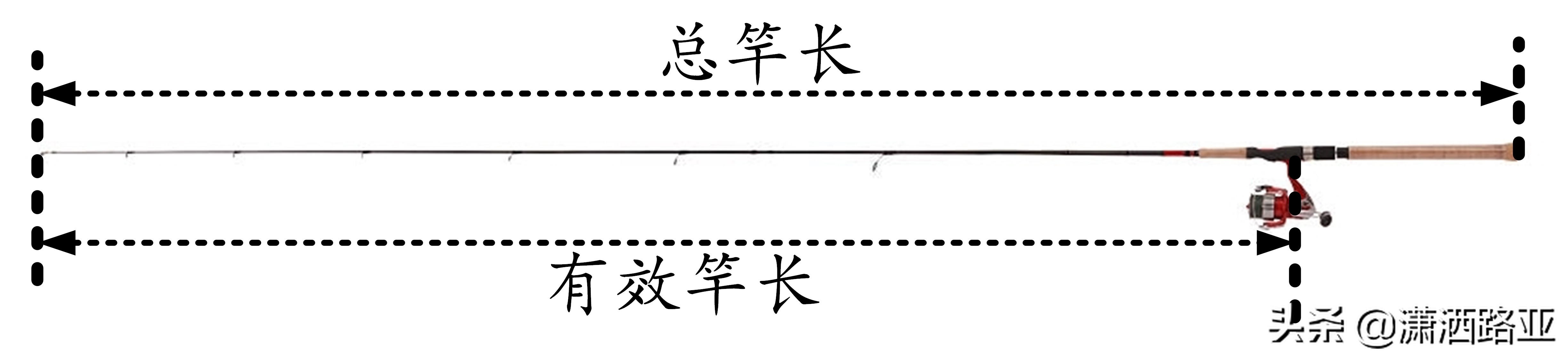 路亚钓竿千千万，选对合适的钓竿只需了解三个参数,上篇