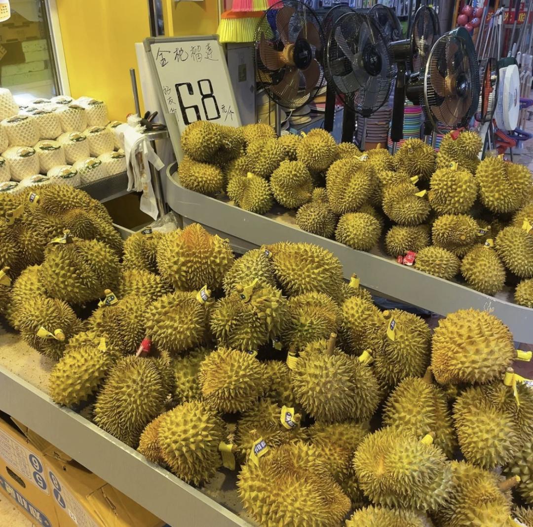 榴莲爱好者去果园,榴莲爱好者来打卡
