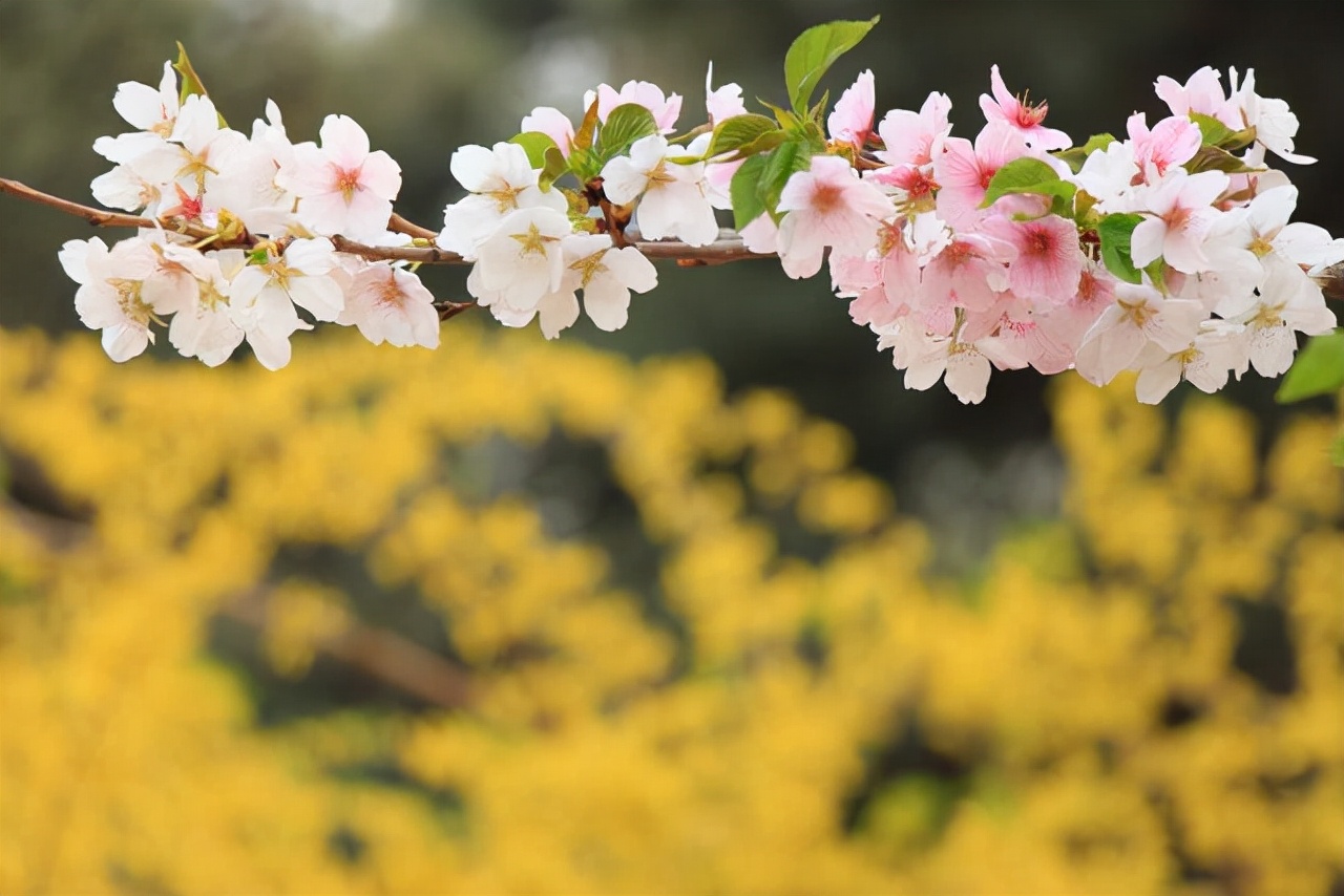 看不起你的亲戚永远不要来往,不愿跟亲戚接触
