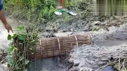 捉鱼捞虾的n种方式,黄梅县可以自己抓鱼捞虾的地方