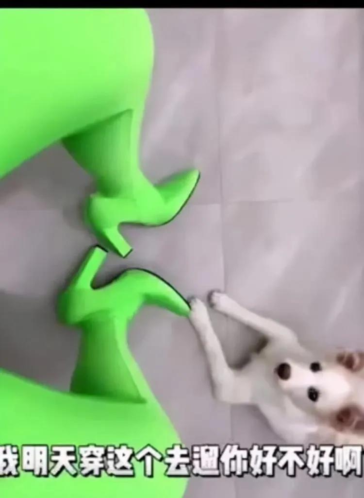 情侣搞笑奇葩礼物送什么,奇葩夫妻生日礼物送什么