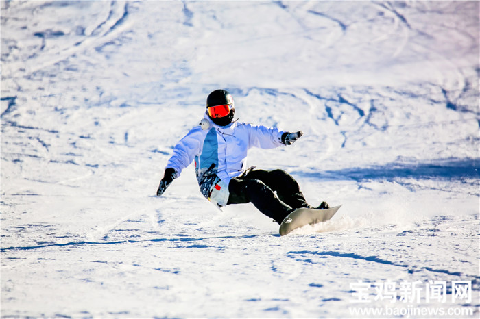 宝鸡市职业技术学院杨博,宝鸡职业技术学院杨博