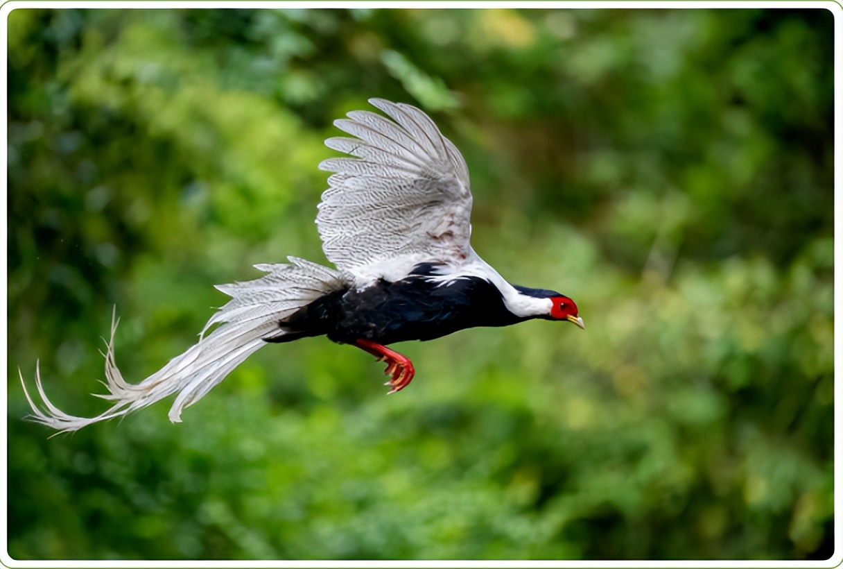 碳循万物•绿知未来|2023生物多样性创业夏令营，等你来探索！