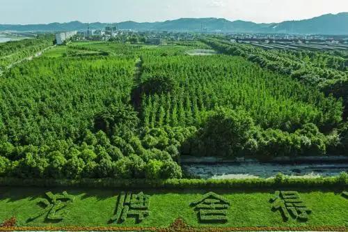 舍得酒中国白酒排名,舍得酒业是高端酒还是次高端酒