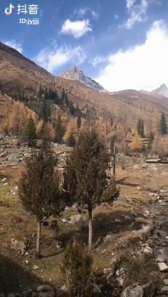 33岁的我放弃了铁饭碗,35岁的我放弃年薪几十万的收入