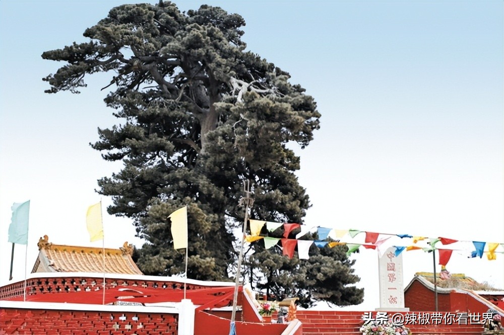 壮美内蒙古鄂尔多斯,内蒙古鄂尔多斯风景