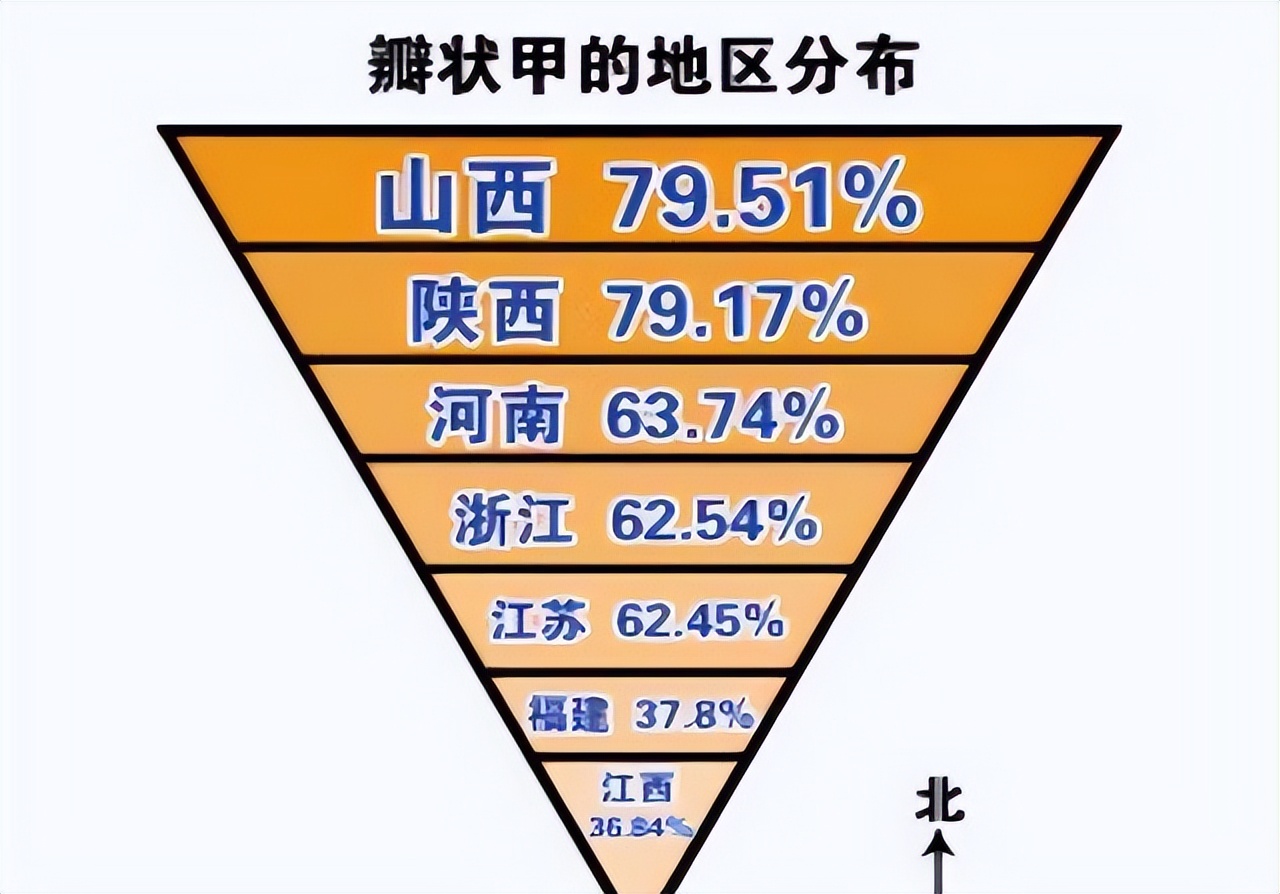 为什么有的人小脚趾指甲是一坨,小脚趾分两半的人究竟什么来历