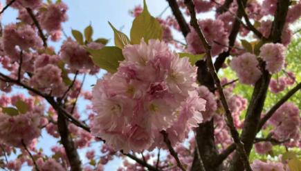 湛江被吐槽老喜欢搞广东名号，广东医广东海大，让人误以为在广州