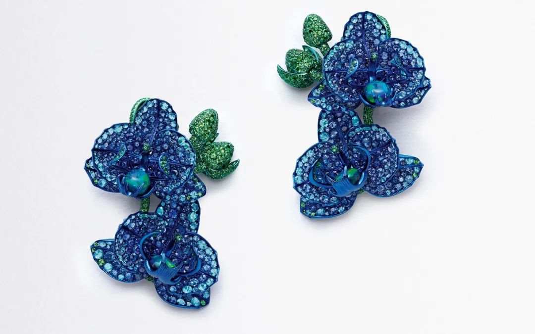 涓轰粈涔堣繖浜涘僵瀹濊繖涔堣吹,鐐僵鐝犲疂