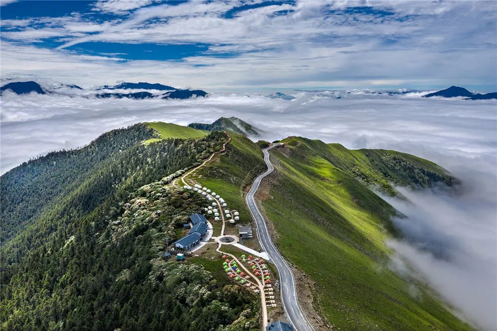 非遗奇遇记端午赛龙舟,端午节赛龙舟比较有特色文艺活动