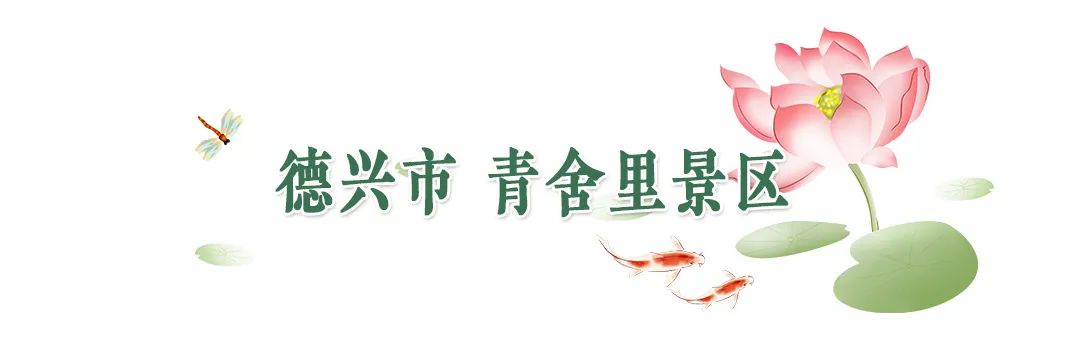 全球学子嘉游赣|上饶的第一波荷花开了，让我们一起步入飘满荷香的夏天！