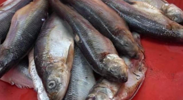 山东小伙3000元发家卖小吃,山东小哥摆摊