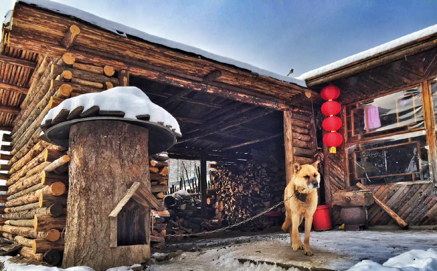 2020骞寸殑鍐板ぉ闆湴,2022鏄ヨ妭闆櫙鏃呮父鎺ㄨ崘