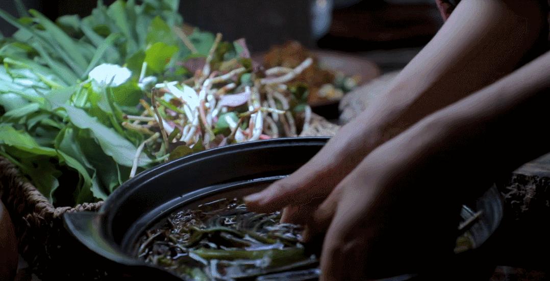 有意境的春天,有一种优雅的春天