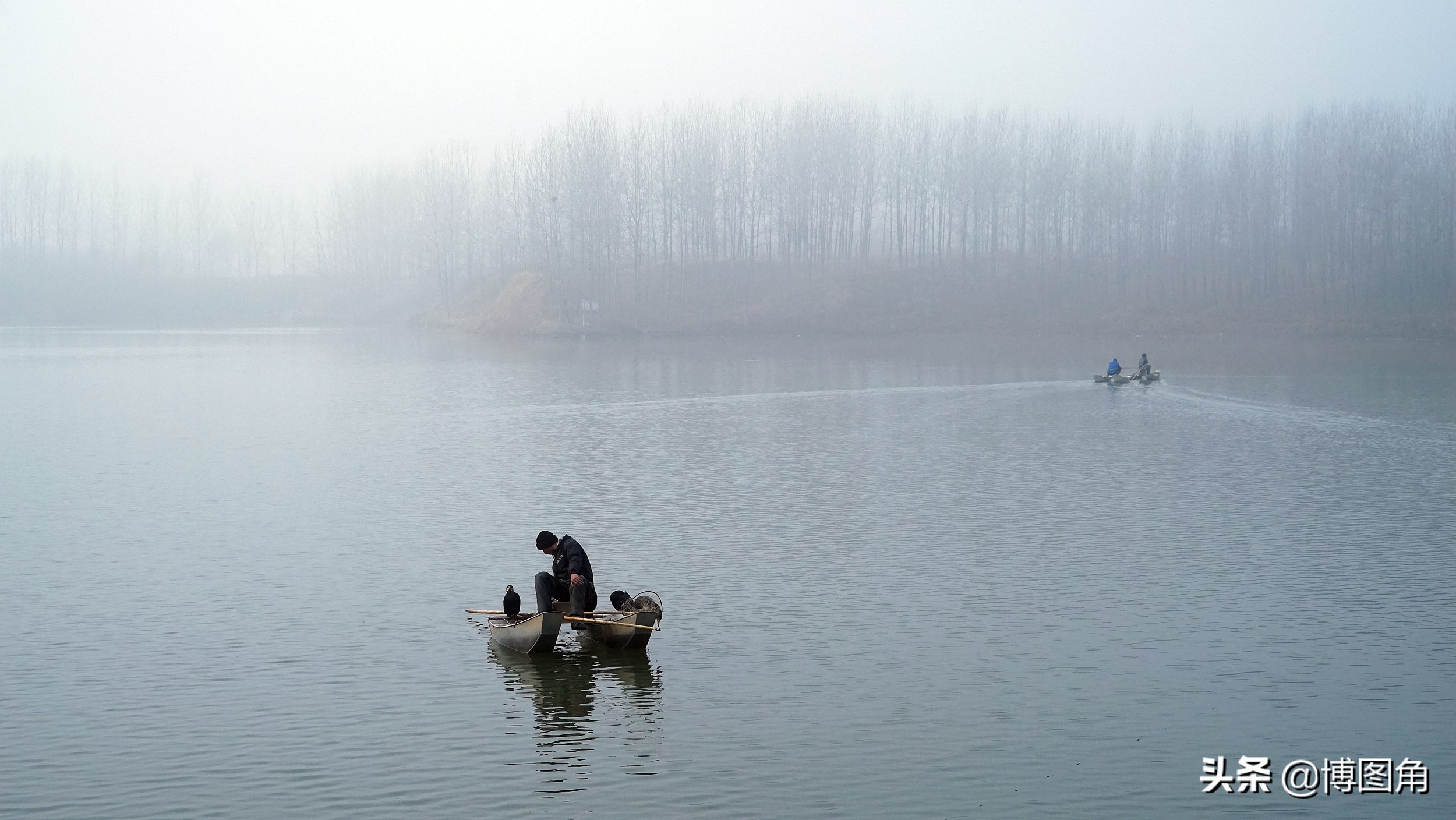 80年代农村鱼鹰捕鱼,渔民与鸬鹚捕鱼图片
