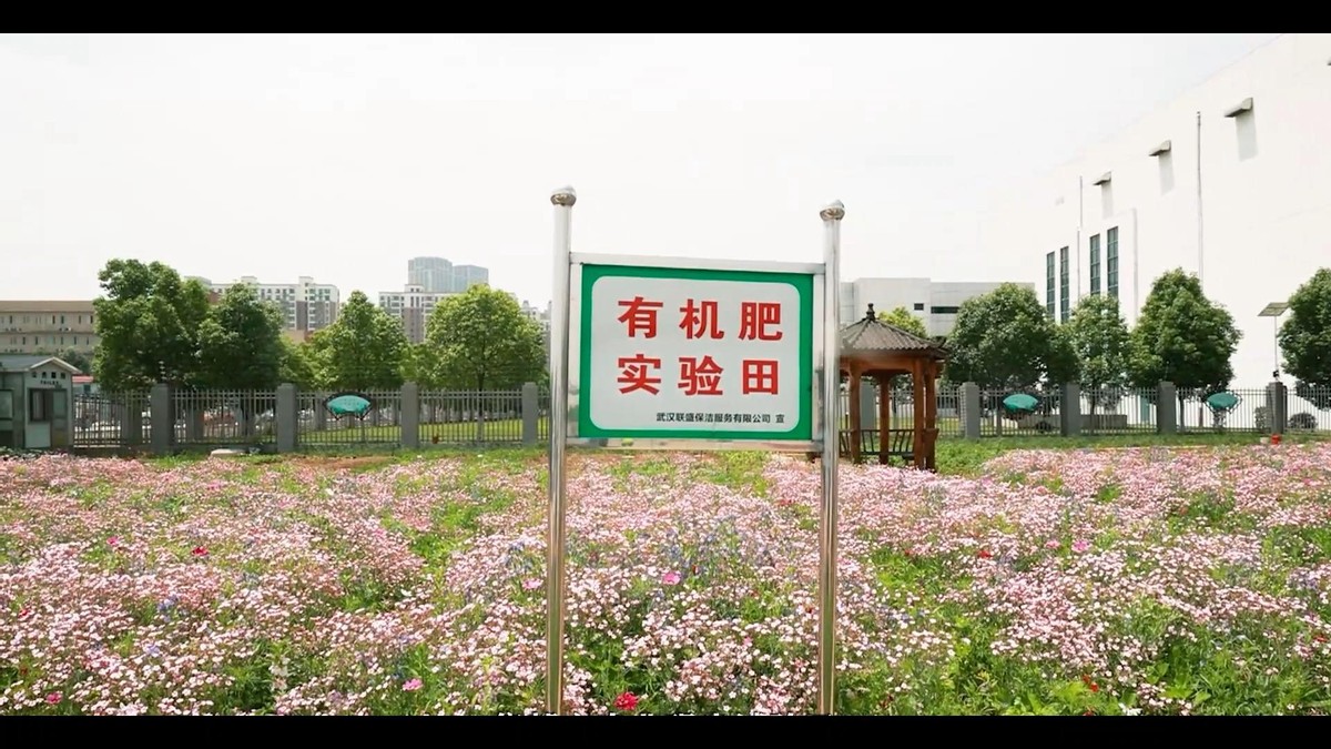 武汉市垃圾分类目标与现状,武汉垃圾分类分拣中心