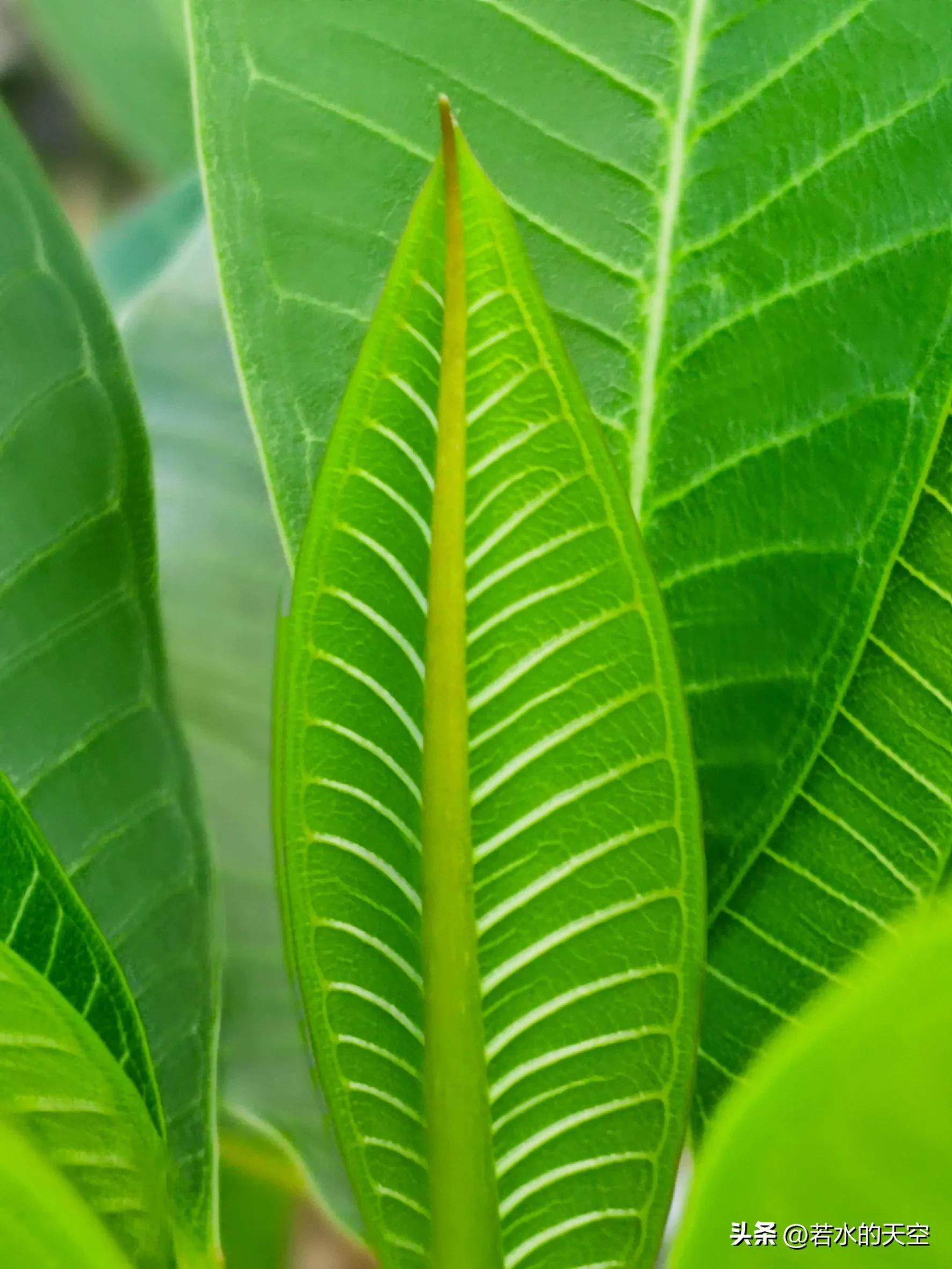 医生说老人各个器官老化,老年人的生理老化和心理老化