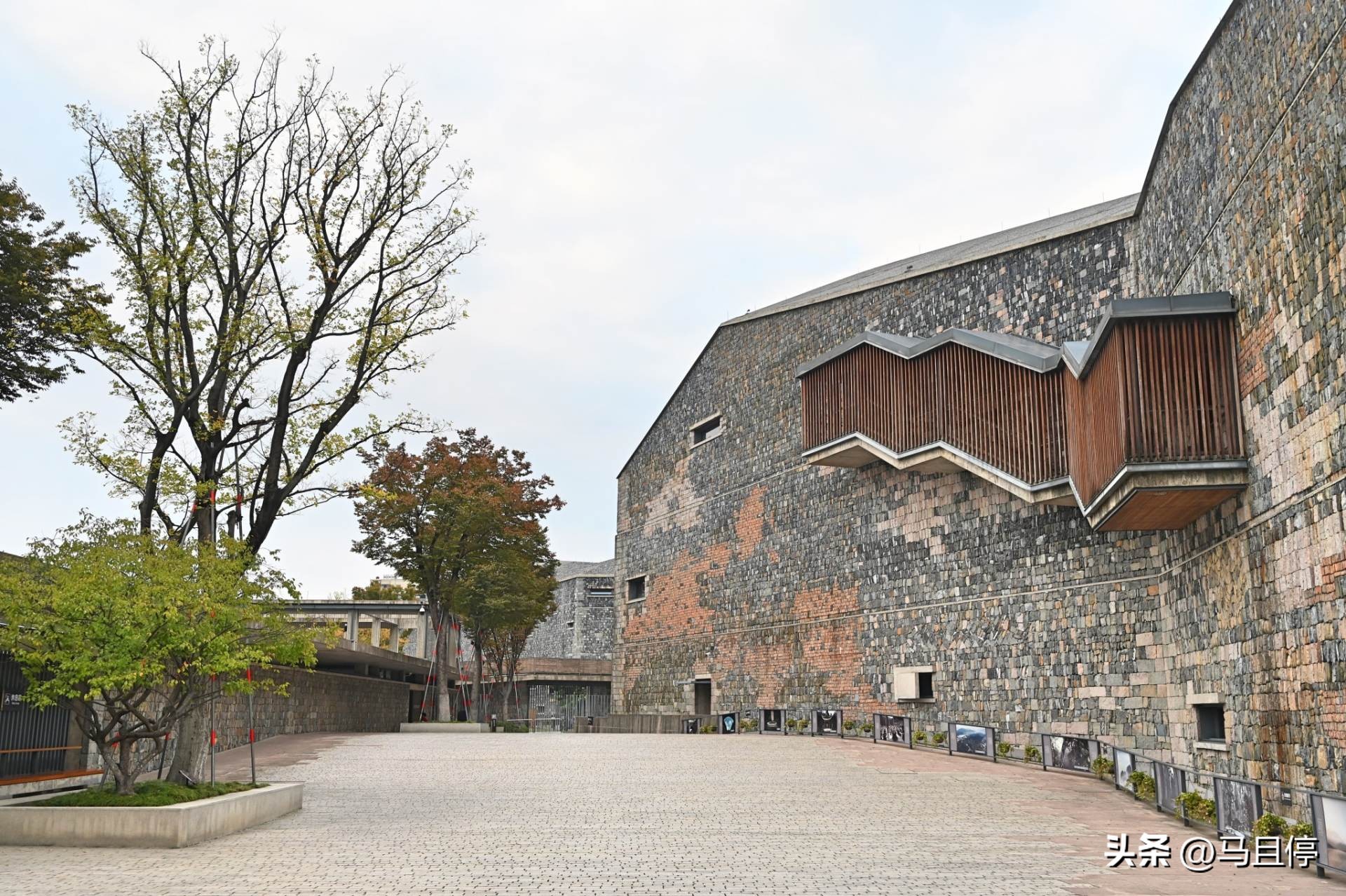 杭州旅游攻略赏秋超详细,11月杭州旅游的最佳地方