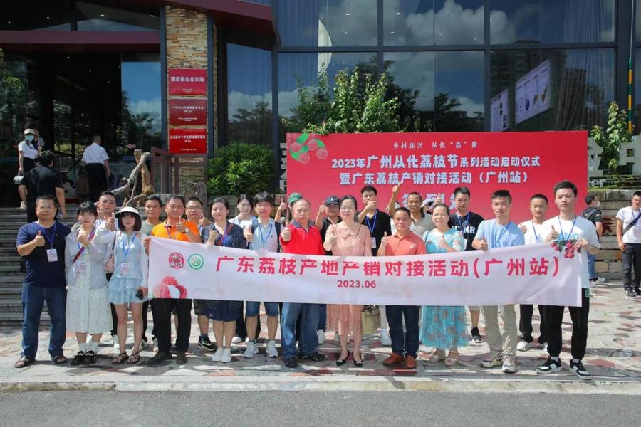 “荔”争上游，从化当“鲜”