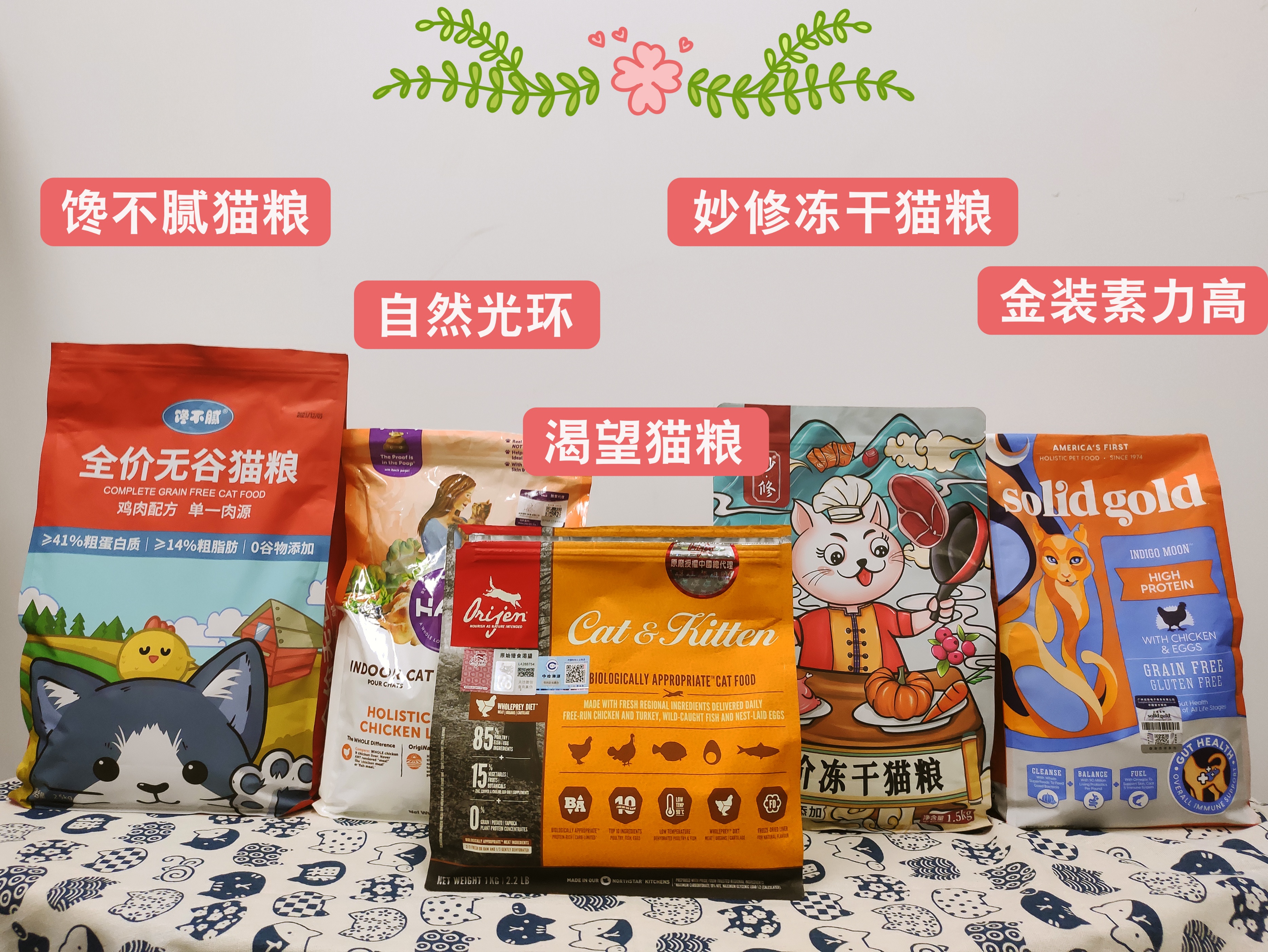 养猫首选这几种猫既便宜又好养,养猫最建议养什么猫