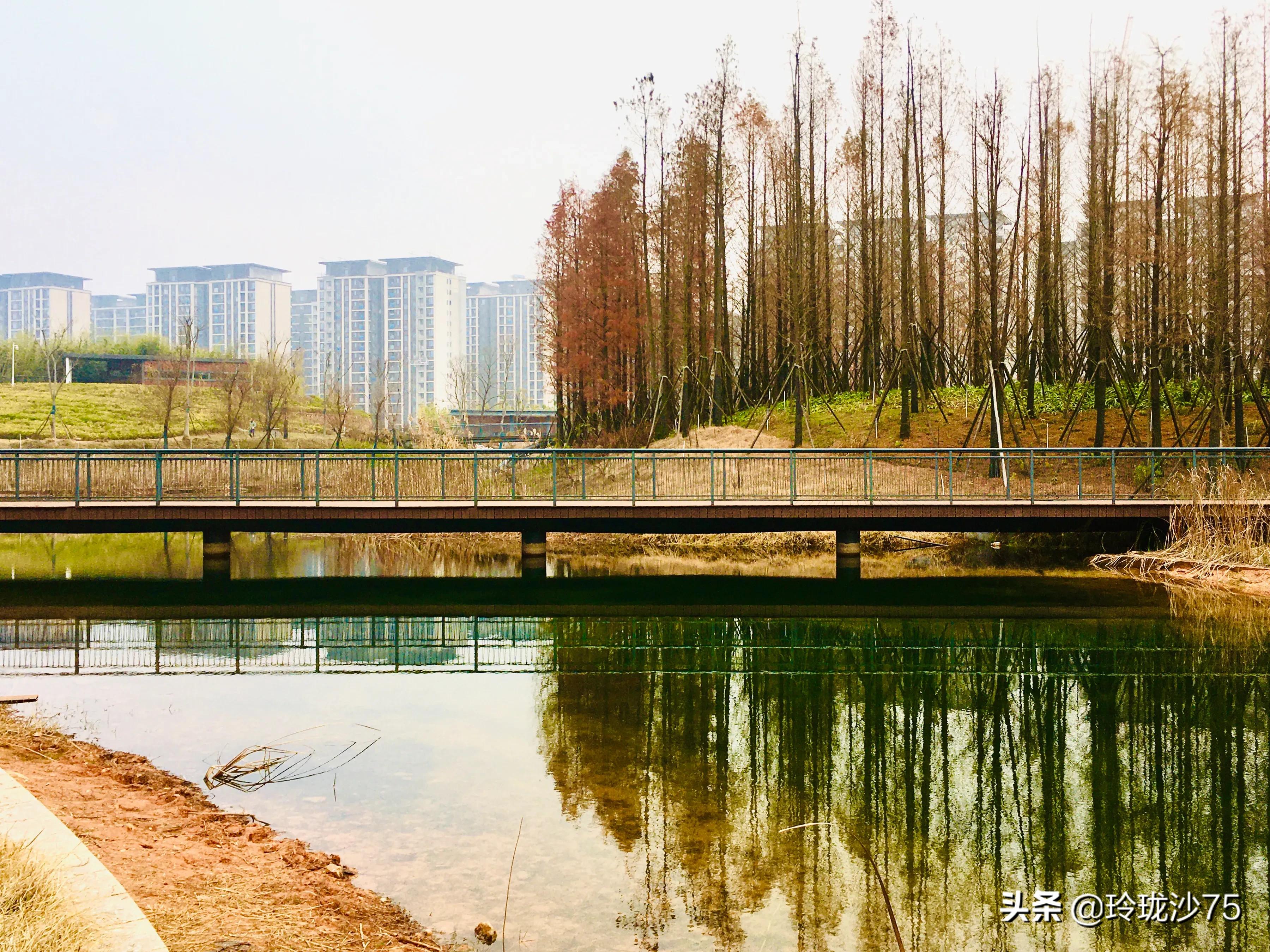 长沙风景美丽的篮球场,长沙王陵公园生态足球场