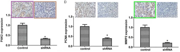 天津医科大学第二医院的9分论文遭评议！疑似与同期论文多图重叠