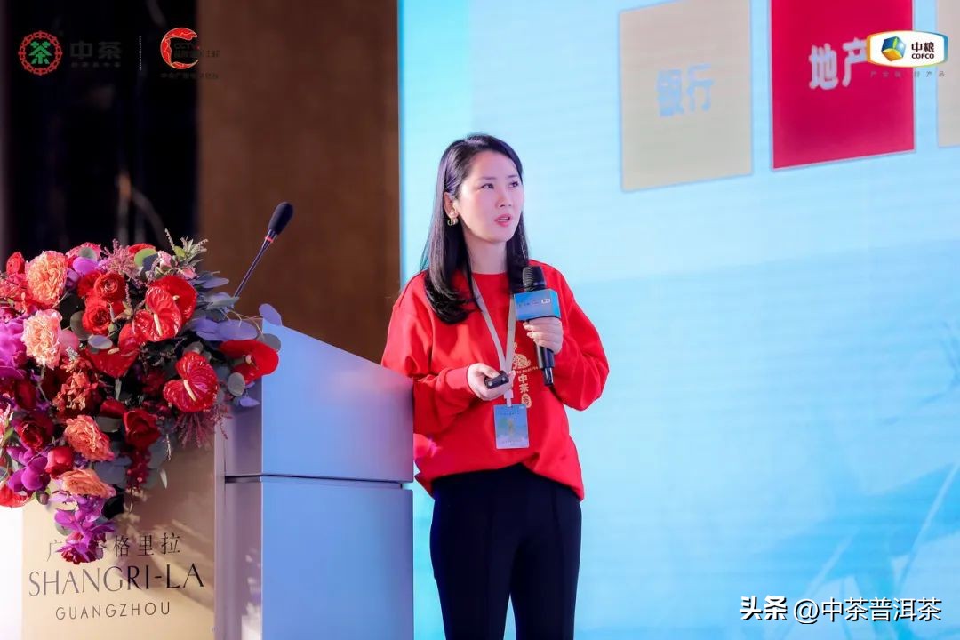 中茶普洱茶经销商信息大会,中茶2024年经销商大会