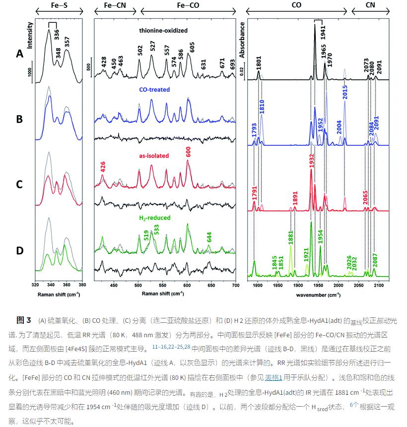 振动光谱,振动光谱的组成方法