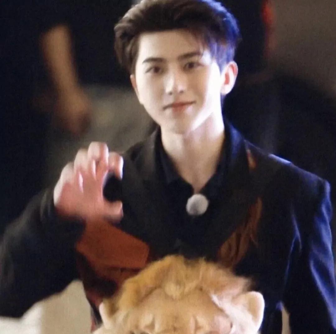 爱豆系列头像高清,头像明星爱豆