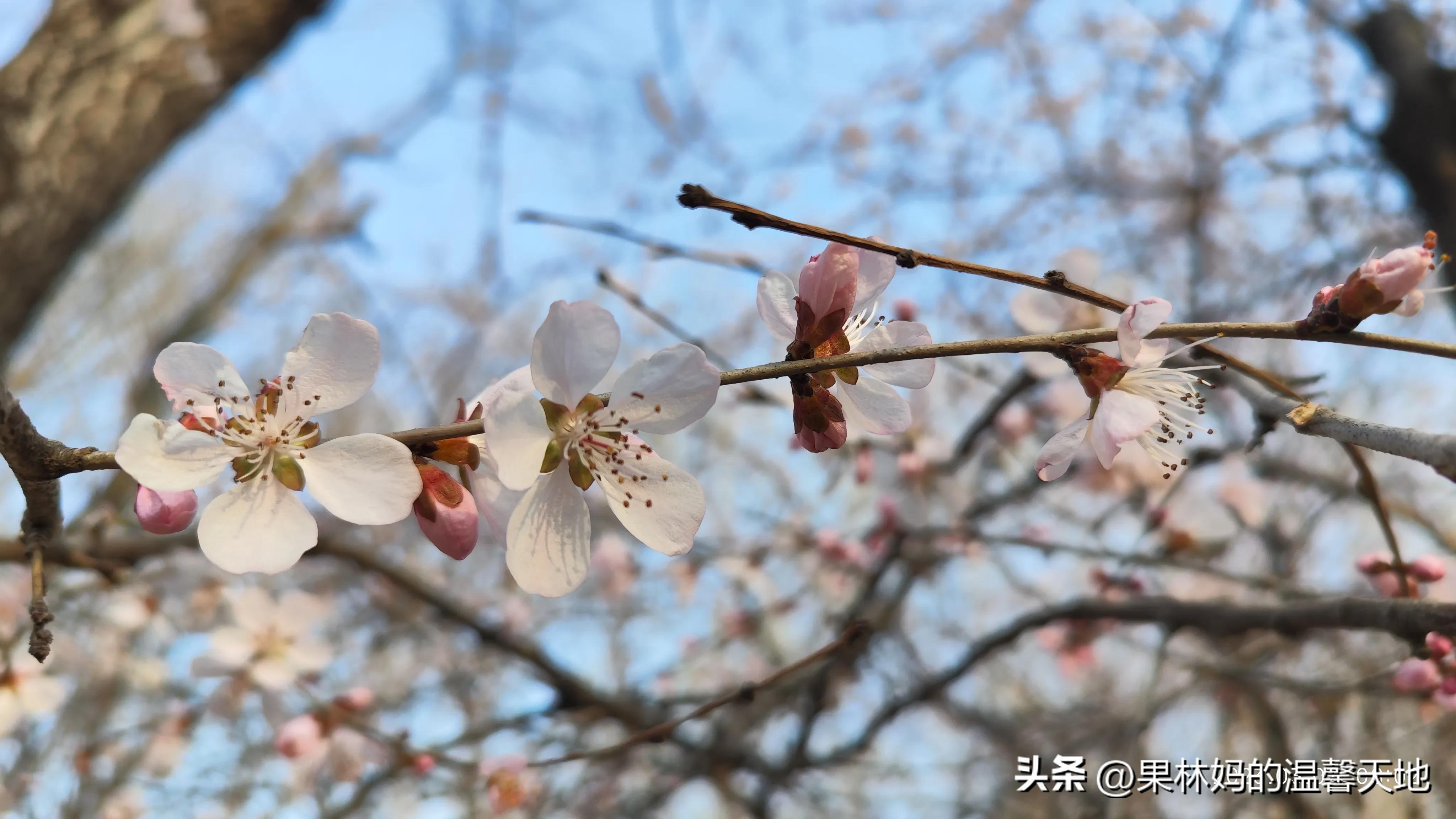 鼻腔有异物可以看急诊吗,晚上鼻腔异物看急诊