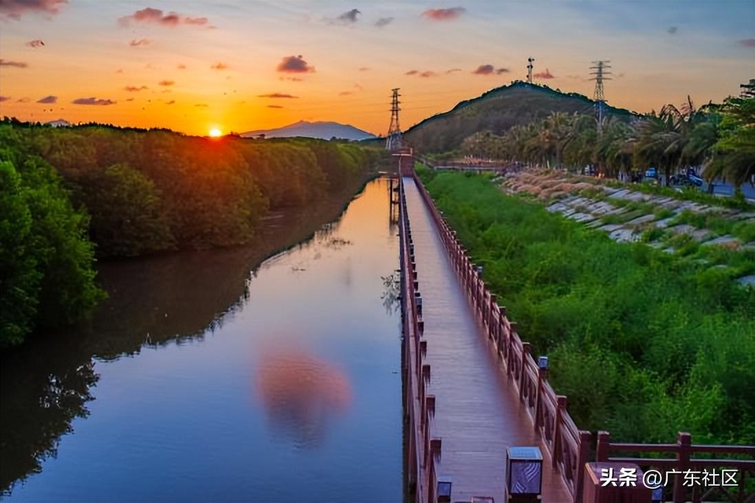春季国内观鸟热门地,这份观鸟地图请收好