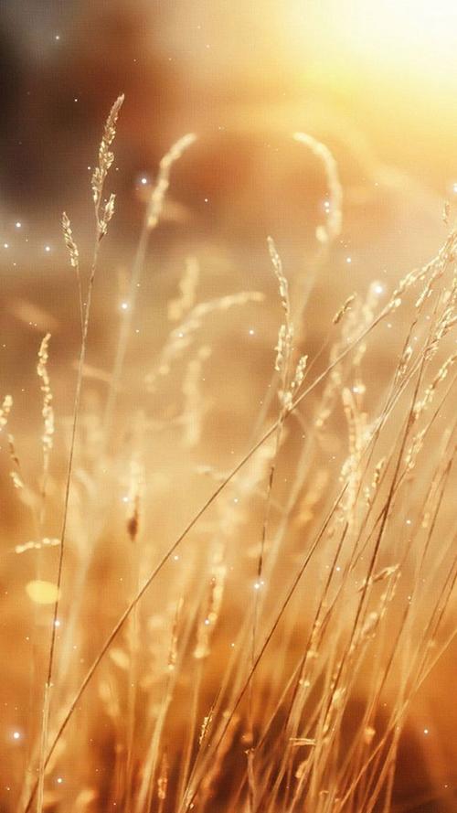 时光流逝蓦然回首散文,岁月微凉的经典散文